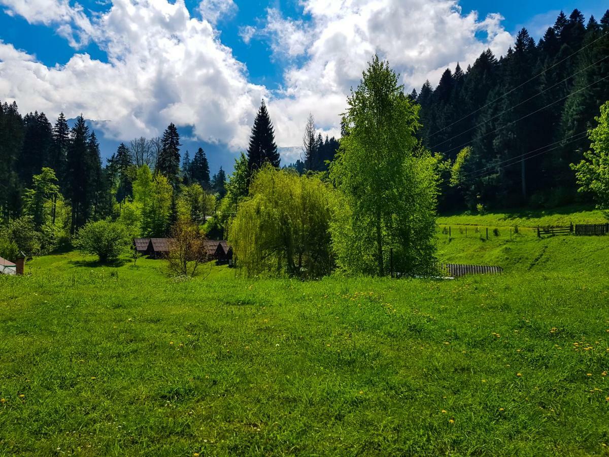 Ursulet Durau Camping