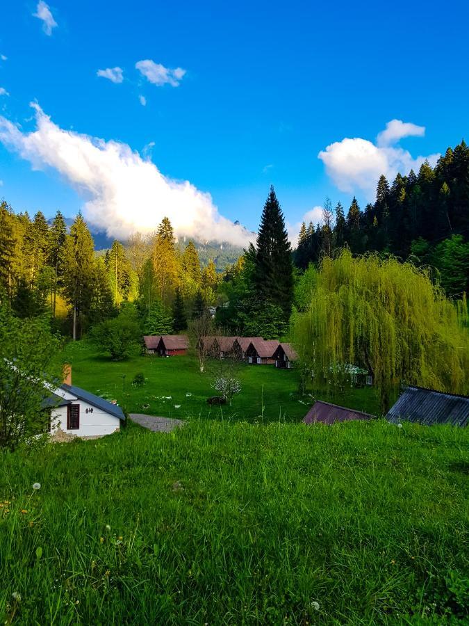 Camping Ursulet Durau